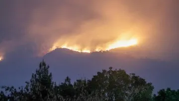 Kebakaran di Gunung Arjuno-Welirang Diperkirakan Hanguskan 146 Hektare Lahan