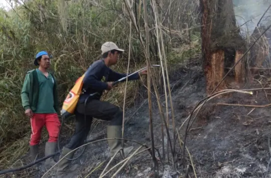 Jalur Pendakian Gunung Semeru Ditutup Total Akibat Kebakaran di Blok Ranu Kembang
