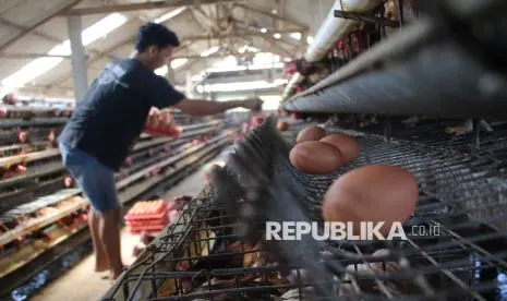 DPR Dorong Perluasan Akses Pasar untuk Memperkuat Investasi Industri Protein Nasional