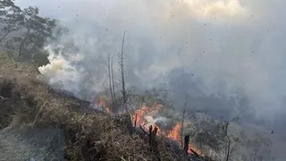 Kebakaran Hutan di Blok Bantengan Bromo, Tiga Akses Wisata Ditutup Sementara