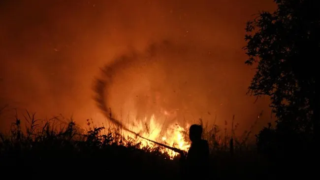 Anggaran Terhambat Pergeseran, Petugas Karhutla Kaltim Gunakan Dana Pribadi