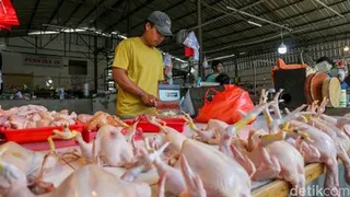 Pemerintah Pastikan Stok Pangan Surplus, Bagaimana Kondisinya di Tengah Ketidakpastian Global?