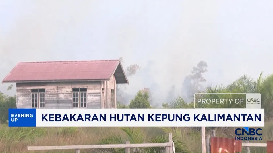 Google Maps Tampilkan Titik Merah Kebakaran Parah di Kalimantan