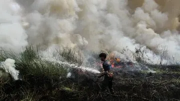 Antisipasi El Nino Kuat, BMKG Petakan Enam Provinsi Rawan Karhutla dan Siapkan Modifikasi Cuaca