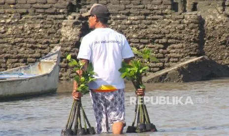 Lebih dari Sekadar Tanam Bakau, BNI Sulap Mangrove Jadi Penggerak Ekonomi Warga Pesisir