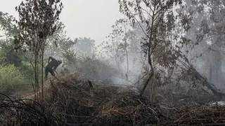 BNPB Tangani Kebakaran Hutan dan Lahan di Enam Provinsi