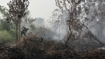 BNPB Tangani Kebakaran Hutan dan Lahan di Enam Provinsi