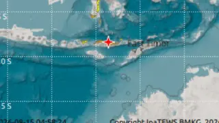 Mengenal Sesar Naik Busur Belakang Flores, Pemicu Gempa NTT