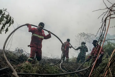 Kebakaran Lahan di Riau Meluas, Petugas Padamkan Api di Dua Lokasi
