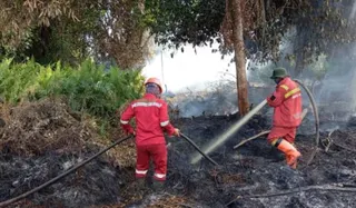 Karhutla Riau, Pekanbaru dan Pelalawan Naikkan Status Jadi Tanggap Darurat
