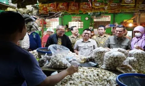 Upaya Pemerintah Menjaga Stabilitas Harga Bawang Putih hingga Indonesia Timur