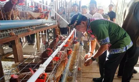 Kemandirian Pangan Kaltara Dimulai dari Telur, Pasok Program Gizi dan Tekan Harga