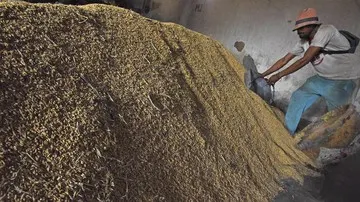 BPS Catat Kenaikan Harga Beras Premium di Penggilingan Capai 10 Persen