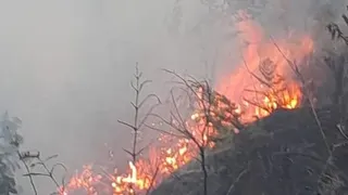 Kebakaran Hutan di Blok Bantengan, Tiga Akses Wisata Gunung Bromo Ditutup Sementara