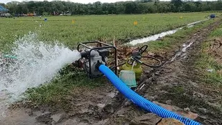 Kementerian Pertanian Siapkan Puluhan Ribu Pompa Air untuk Selamatkan Sawah dari Kekeringan