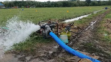 Kementerian Pertanian Siapkan Puluhan Ribu Pompa Air untuk Selamatkan Sawah dari Kekeringan