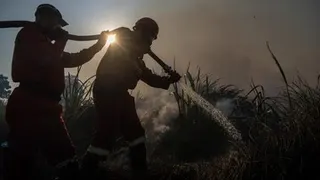 Kebakaran Lahan Melanda Ogan Ilir dan Ogan Komering Ilir, 22 Hektare Hangus