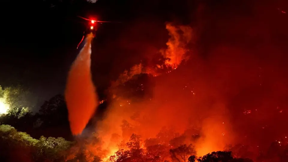 Gelombang Panas dan Kekeringan Landa AS hingga Eropa, Picu Kebakaran Hutan dan Krisis Air