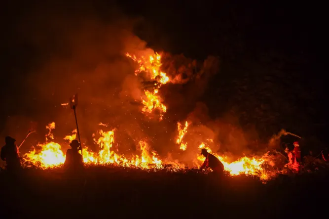 BNPB Sebut Karhutla di Empat Kabupaten Berhasil Dipadamkan Tanpa Korban Jiwa
