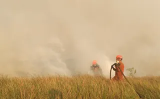 Kebakaran Hutan di Aljazair, 73 Orang Meninggal Dunia