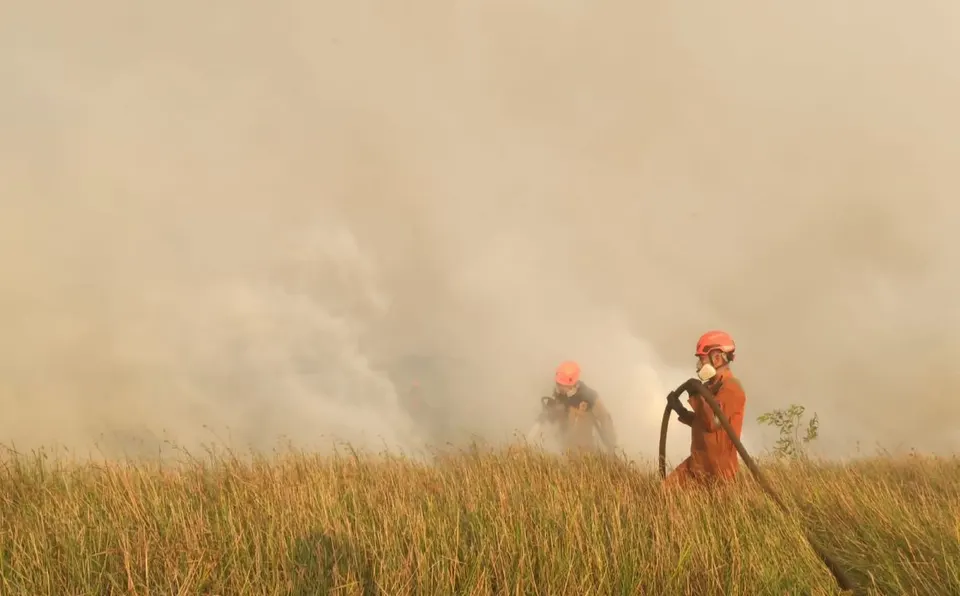 Kebakaran Hutan di Aljazair, 73 Orang Meninggal Dunia