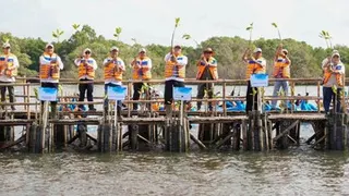 Indonesia Bentengi Pesisir dengan Penanaman Satu Juta Mangrove Serentak