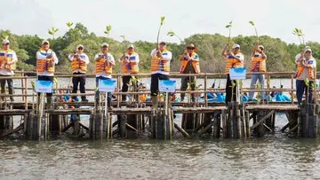 Indonesia Bentengi Pesisir dengan Penanaman Satu Juta Mangrove Serentak