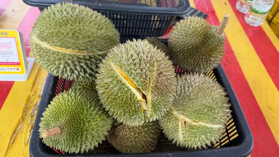 Skandal Korupsi Ekspor Durian Vietnam, Wakil Menteri Pertanian Ditangkap