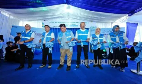 PLN Resmikan GEET Pulau Rengit untuk Dorong Ekonomi Berbasis Energi Hijau