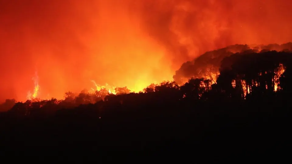 Kebakaran Hutan Hebat Kepung Eropa dan Paksa Ratusan Ribu Warga Mengungsi