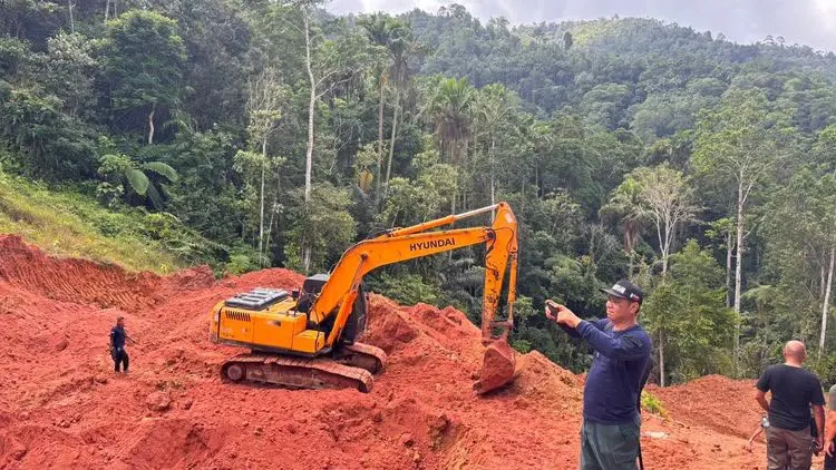 Deru Mesin di Hutan Lindung Itu Kini Senyap