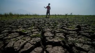 Ketika El Nino Menjadi Ujian Ketahanan Pangan Indonesia