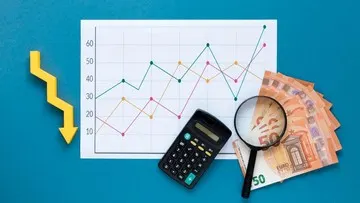Pemerintah Siapkan Karpet Merah Pajak 50 Tahun demi Tarik Modal Asing ke PFII